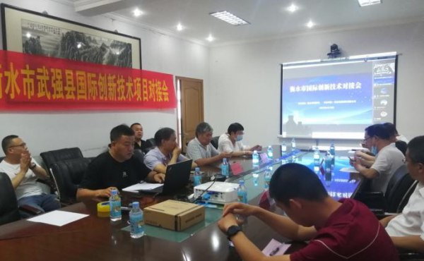 Hengshui International Innovative Technologie Das Projekt Online Docking Meeting fand in Wuqiang statt